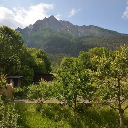 Grosse, Schoene Im Gruenen 布里格