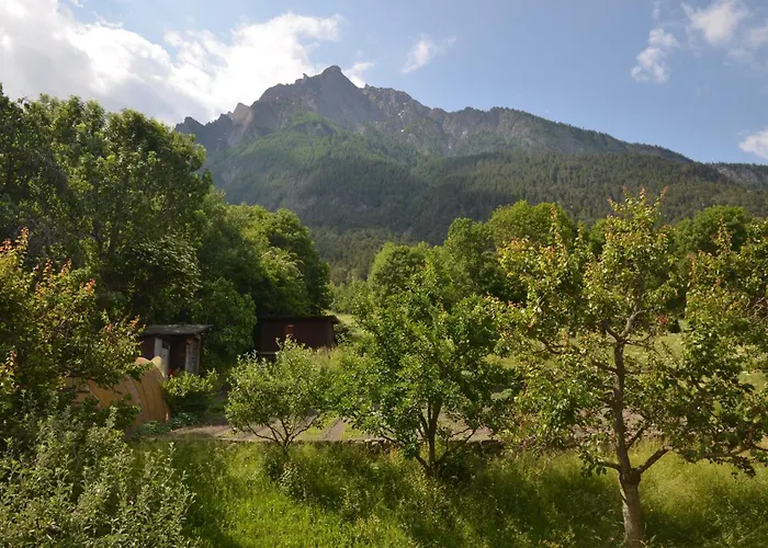 Grosse, Schoene Im Gruenen 布里格